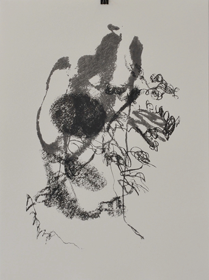 ‘rib lines 1’  - 50.5x68.2cm illustration
