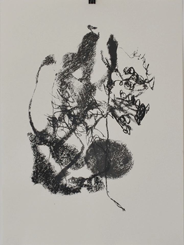 ‘rib lines 3'  - 50.5x68.2cm illustration